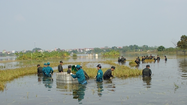 Học viên CAND tích cực tham gia dọn dẹp đường phố và giúp dân gặt lúa